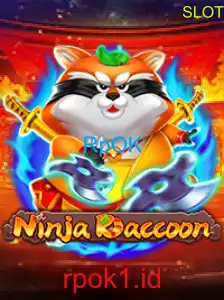 NinjaRaccoon